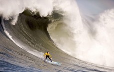 开云-梅尔顿攻防俱佳冲击首发 勇士失误痼疾仍待解决